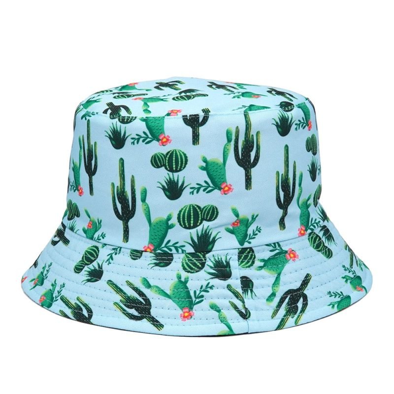 chapeau cactus